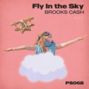 Brooks Cash - Fly in the Sky