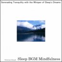 Sleep BGM Mindfulness - Soothing the Heart with Nature's Gentle Caress