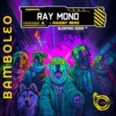 Ray Mono - Space Junk