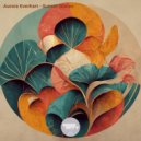 Aurora Everhart - Sunset Stories