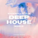 Mario Santo - Young Love (Original Mix)