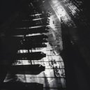 Sunnynotem - Grey Spring ()