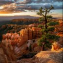 Voidic - throw in the towel ()