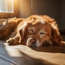 Siempre Lloviendo & Cachorros Bebes Orchestra & Amigo Canino Sonidos - Melodías Relajantes Para El Día Del Perro