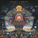 Avan7 & Br1sa - Free Soul (Original Mix)