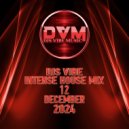 Djs Vibe - Intense House Mix 12 (December