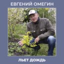 Евгений Омегин - Льет дождь ()