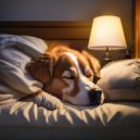 Música feliz de la mañana & Música para Perros Ambiente & Música para Perros Seducción - Perros En La Noche Tranquila De Hip Hop