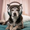 Lofi Study Man & Dog Music Club! & Dog Music Collections - Groove into Serenity