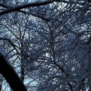 nowordcdx - frostbite ()