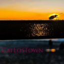 CATLOSTOWN - Владка ()