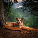 Morning Chill Playlist & Dog Calming Music Prime & Dog Calming Music Project - Tranquil Tones For Evening Dog Rest ()