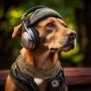 Sonic Brainwaves & Music for Dog Walks Bgm & Dog Music Curation - Dog Day Beats