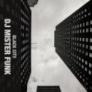DJ Mister Funk - Nifht For Night
