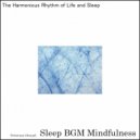 Sleep BGM Mindfulness - Swept Away to Slumber by the Rhythms of Neural Harmony