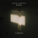 Satin Jackets & David Bay - Avalanche