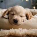Abrazando los sonidos & Relájate la música de mi perro & Relax mi perro música - Notas Tranquilas Para Perros ()