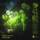 Rsrch Chmcls - Haunting ()