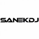 SANEKDJ - ЯНВАРЬ