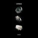 Ondras - Citrus (Radio Edit)