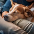Sentimiento Profundo & Música para Perros Ambiente & Cachorro durmiendo RW - Vence Los Nervios Suaves Del Perro