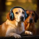 Gentle Music Journey & Music for Dog Relaxation & Music for Dog\'s Ear - Balanced Dog Music ()