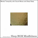 Sleep BGM Mindfulness - Journey to Serenity with the Soundwaves of Neural Harmony