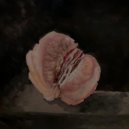 Two Demons - Marshmallow World ()