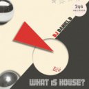 DJ Daniel D - What Is House (Nytron Remix)