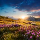 Fuente binaural & Relajantes sonidos de lluvia & Sonidos Relajantes de la Naturaleza by Beneluxa - Melodías De Flujo Suave ()