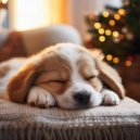 Unidad de alivio del dolor de cabeza & Zona de terapia canina & Radio de música para perros - Ritmos De Juegos A La Luz De La Luna