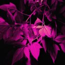 letmespeak - 1*177155*400 ()