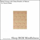 Sleep BGM Mindfulness - Finding Peace in the Soundwaves of Neural Symphony for Deep Sleep (Original Mix)