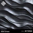 Sam Sick - Night Attack (Original Mix)