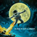 RakiPivo - Flying is not a dream ()