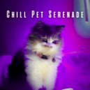 Calm Stress Relief & Music for Pets & Pet Chillout Music - Lofi Melodies for Pets