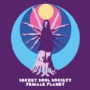 Secret Soul Society - Is It Daylight? (Original Mix)