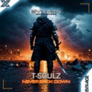 T-Soulz feat. Paralizer - Go Insane (Radio Edit)