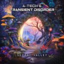 A-Tech & Transient Disorder - Secret Valley (Original Mix)