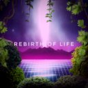 Дима Спички - rebirth of life ()