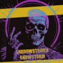 SHXDOWSTRIDER - SNOWSTORM (Original Mix)