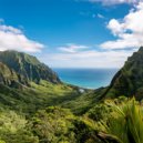 Saxo suave & Radio Naturaleza 1 & Muestreo estéreo al aire libre - Melodías Serenas Para La Tarde ()