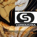 Curiousoul - SUMMER DAY TO NIGHT ()