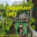 Роман Скрипин - Лабиринт грёз ()