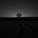 buttercxxq - Without Omitting ()