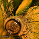 Altrd Being - Echo of Departure