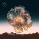 Daniele Marranconi - Dimension
