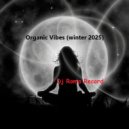 Dj Roma Record - Organic Vibes 2025 (mix)