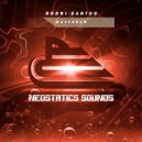 Rodri Santos - Wayfarer