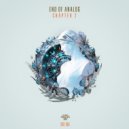 End of Analog - In the House